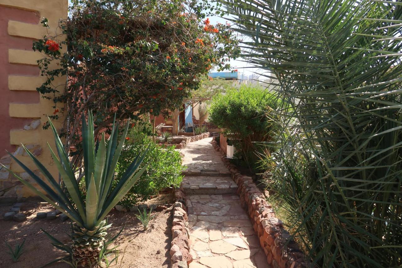 Bedouin Moon Village - Aqaba Al Burj Exterior foto